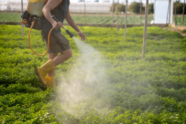 Best Wildlife Control Services  in Melbourne, AR