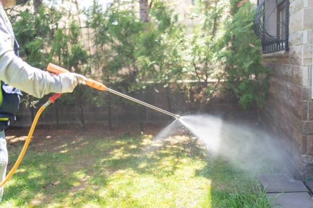 Flea Control Services in Melbourne, AR