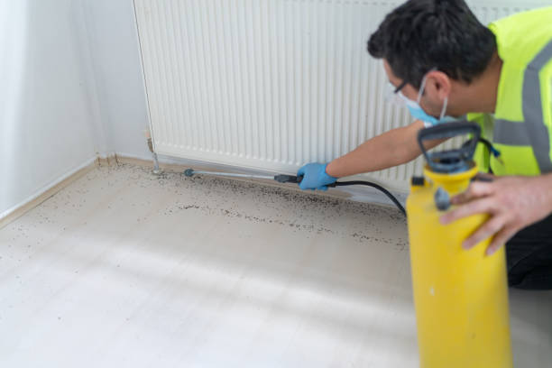Reliable Melbourne, AR Pest Control Solutions